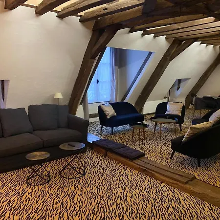 Loft - Particulier Xvii - Centre Appartement Angers